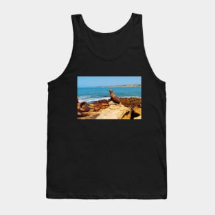 San Diego La Jolla Cove Sea Lions California USA Photography Tank Top